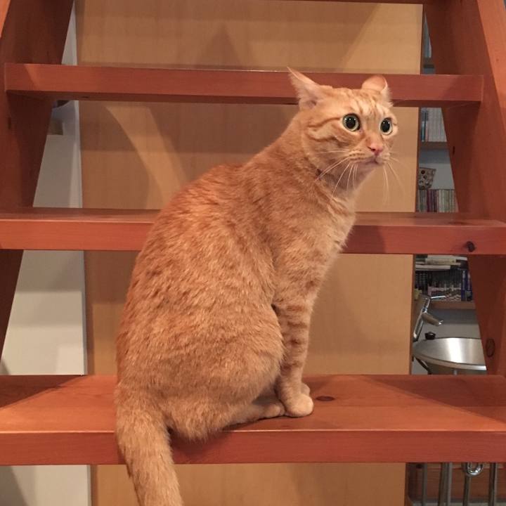 57fd275d b9d7 4d55 a42c a43cd01c647a 1570234021110