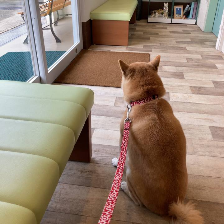 57fd4c17 43e3 48a9 8084 e18d9d5bc826 1615290288750