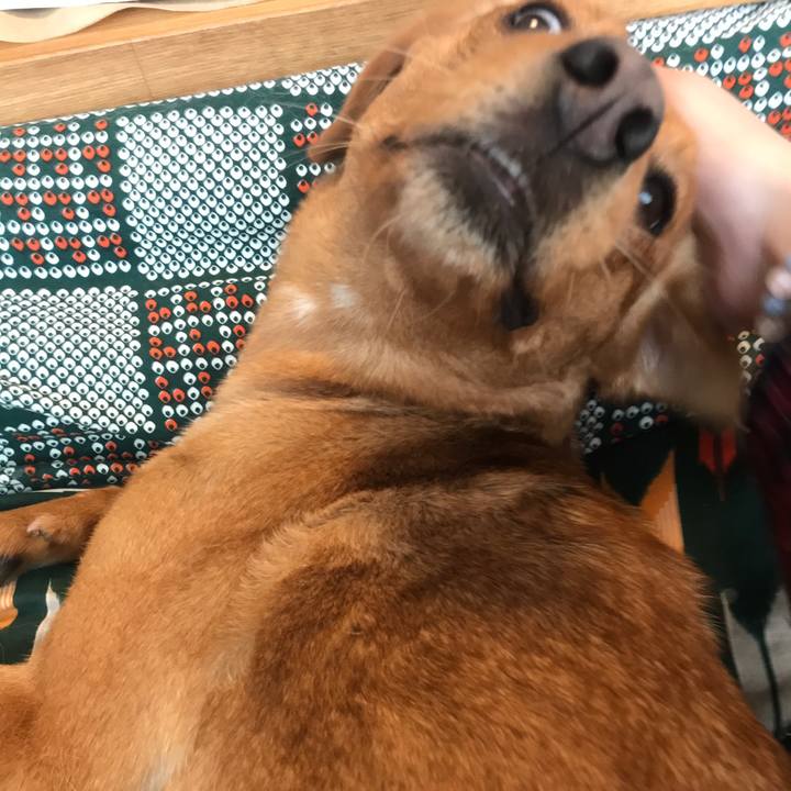 57fd52ec beb0 45e2 9861 eadfe8e69e07 1520455465372