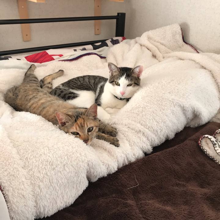 57fd630a 3dee 484d baf6 5b200dd651c6 1548128726421