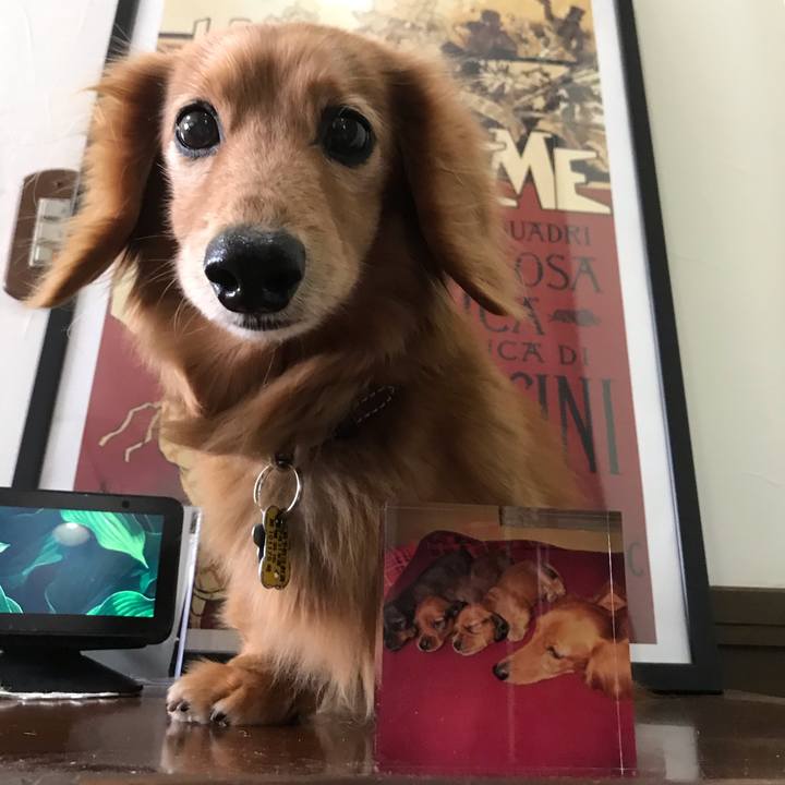 57fd6a6d 5b30 43de 8820 41b48f9ad707 1587883973446