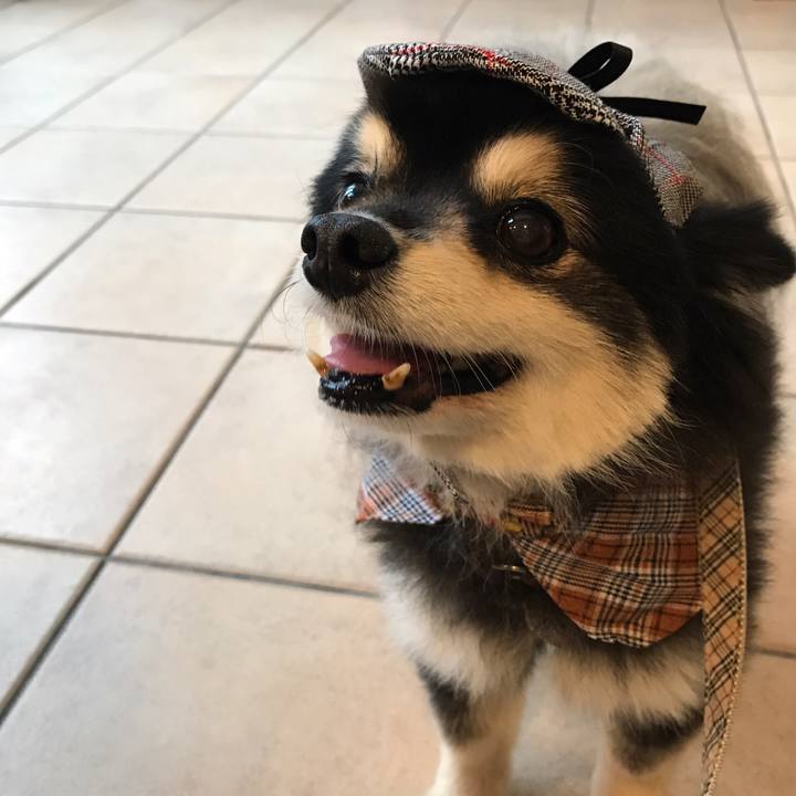 57fd6c87 c15b 4642 8369 b6e64891eb50 1577284852862