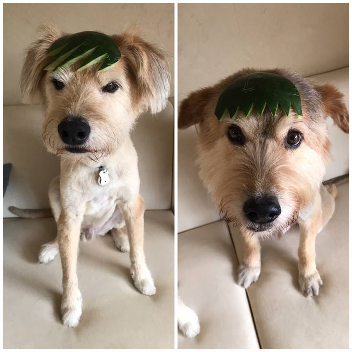 57fd7cd2 20bb 46ff 9c3a cd4dd7076f57 1595050708344