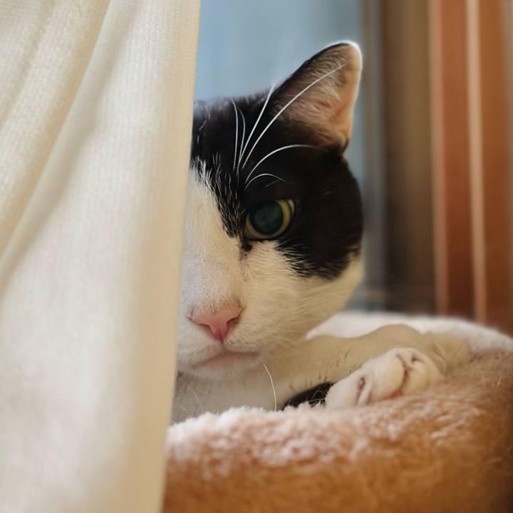 57fd7e16 7bba 48ef 81ce b05e837cf4b4 1718069360567