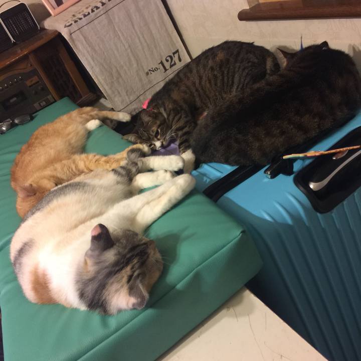 57fd90af b2dd 4ab2 9cfb 028bd607fd85 1567523807024