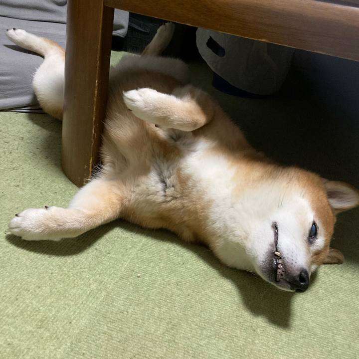 57fd9149 0c5f 4283 9c70 0636bfe69d98 1690547452286