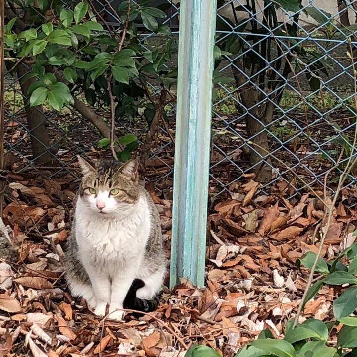 57fddf71 58ee 4217 b1fa 93a4516bbffe 1521789646401