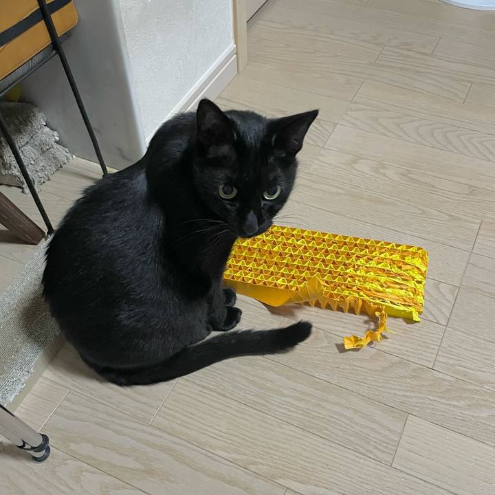 57fe1f93 c5f6 4fbb 9855 def4b7fe2694 1729861964355