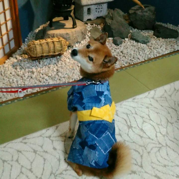 57fe3c3a 29d8 487b 9ba8 6701592124e1 1565267228897