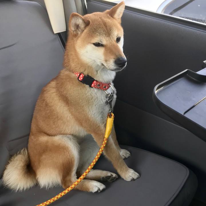 57feb61f 907d 4543 8c4f 22b9a527e504 1525140126177