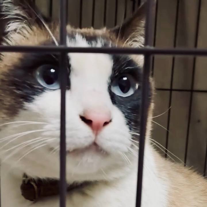 57fec842 b5b8 405d af80 e12a09e65ac5 1774441976361