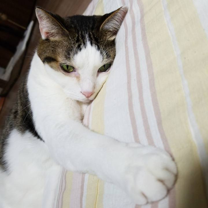 57fecd02 4295 4d5d 8c7b c7cee0e3ecb6 1570277333162