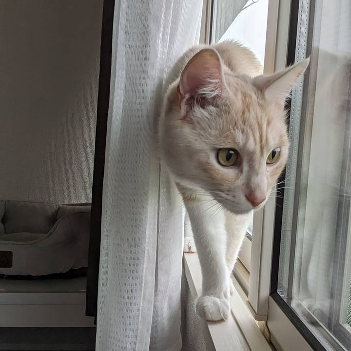 57ff2310 e94e 4298 ba1c a367224ad110 1688772982936