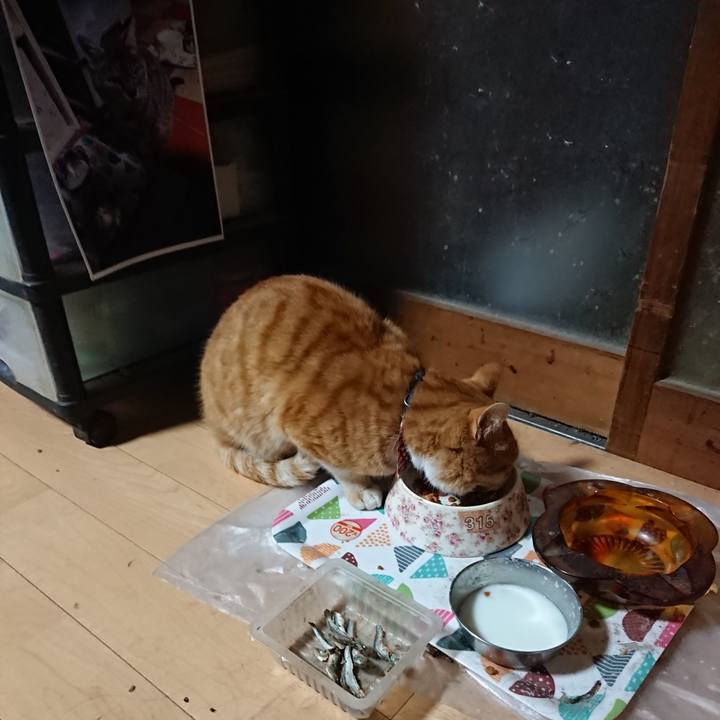 57ff4e26 e1ae 47d8 8b82 a89e714a9a5b 1606940760792