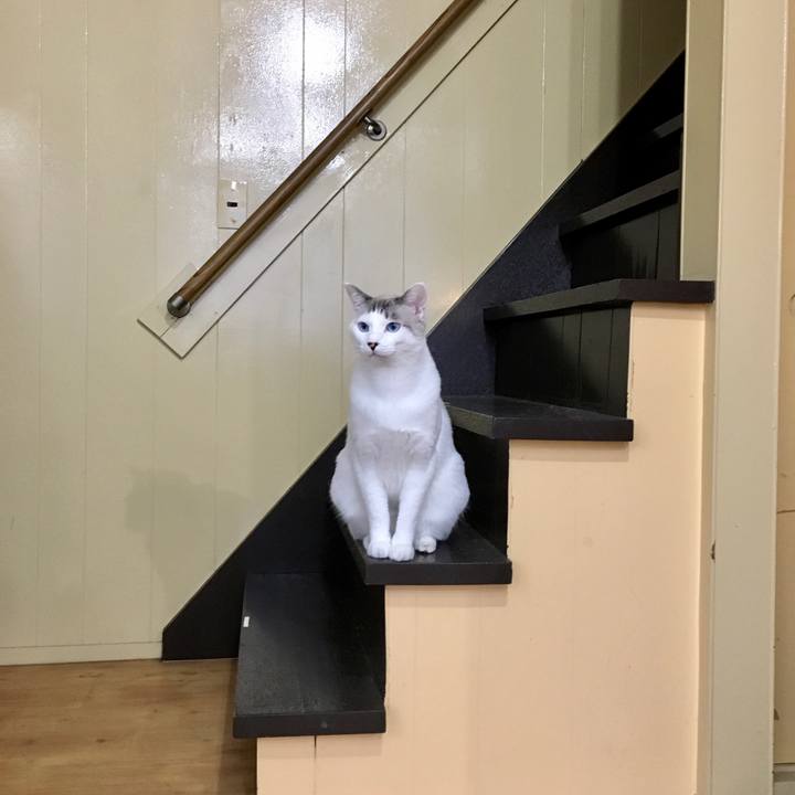 57ff684a b909 41b7 9c7f 8617eb8eb642 1571037872075