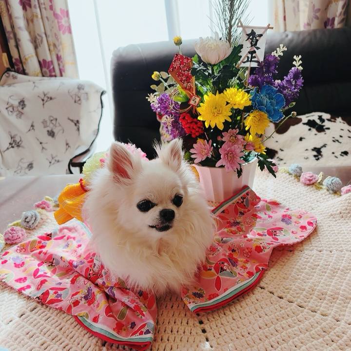 57ff7107 013a 4ca5 894f ef911559876f 1767249729666