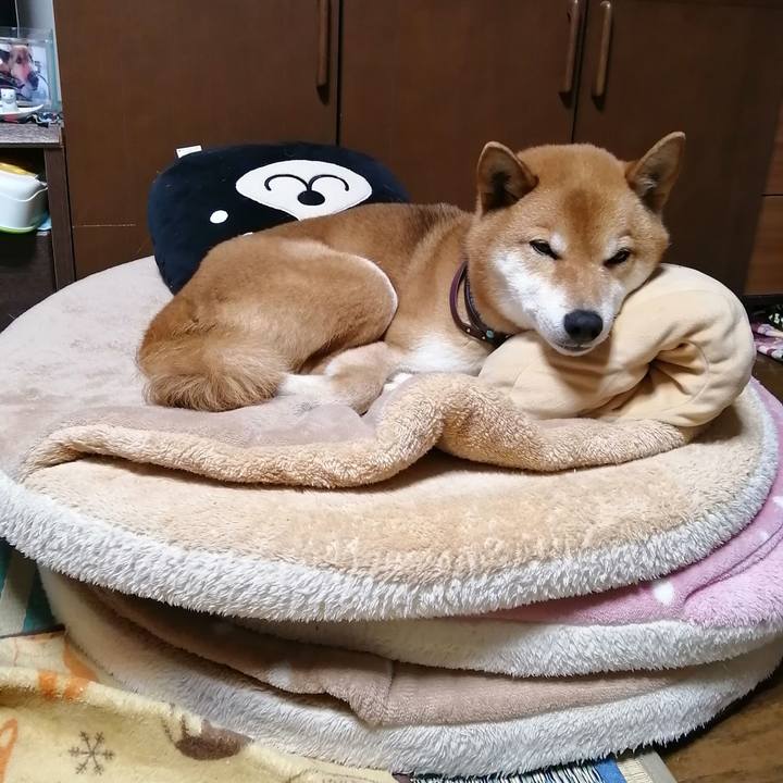 57ff8479 8e71 4f2c 9354 9cf14fe90ac1 1581769902679