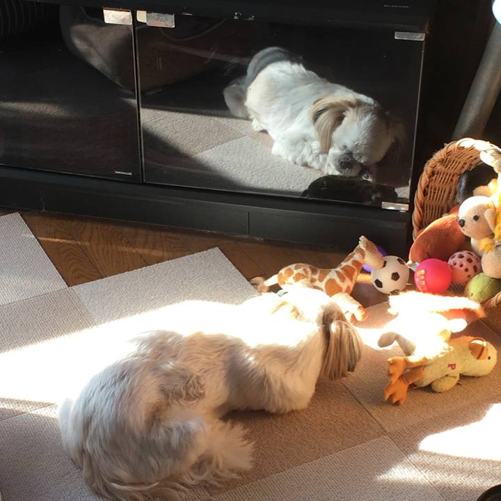 57ff93ce 1ecb 4db4 91a4 b8153b99abe0 1580602472305