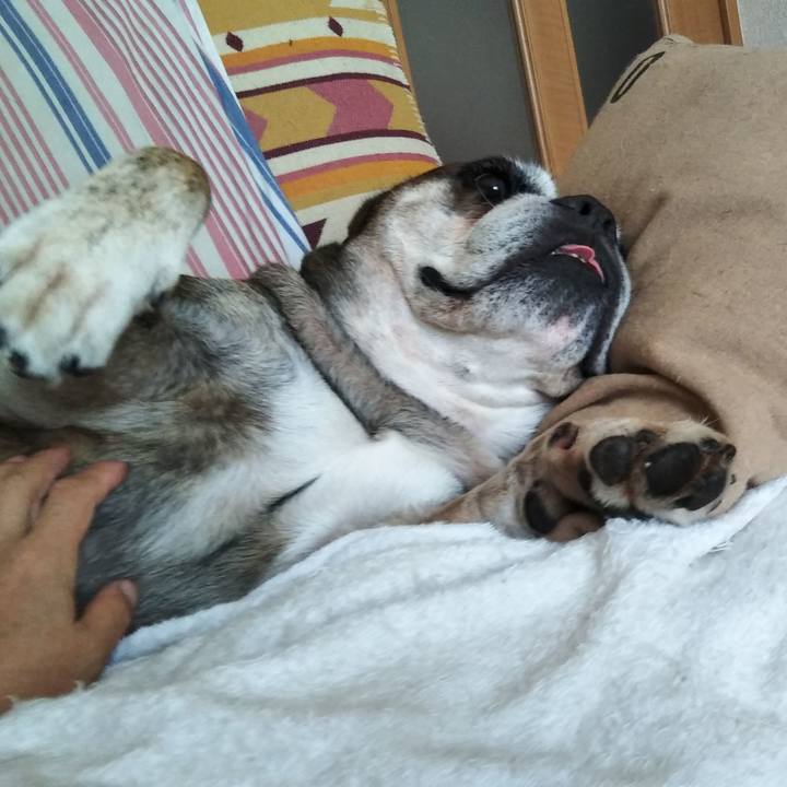 57ff97cd 888f 4494 bf99 57d51989826c 1568208775216