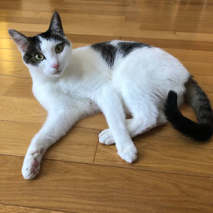 57ff9a77 2481 4f89 8e25 ab4e62c3c0aa 1715336340547