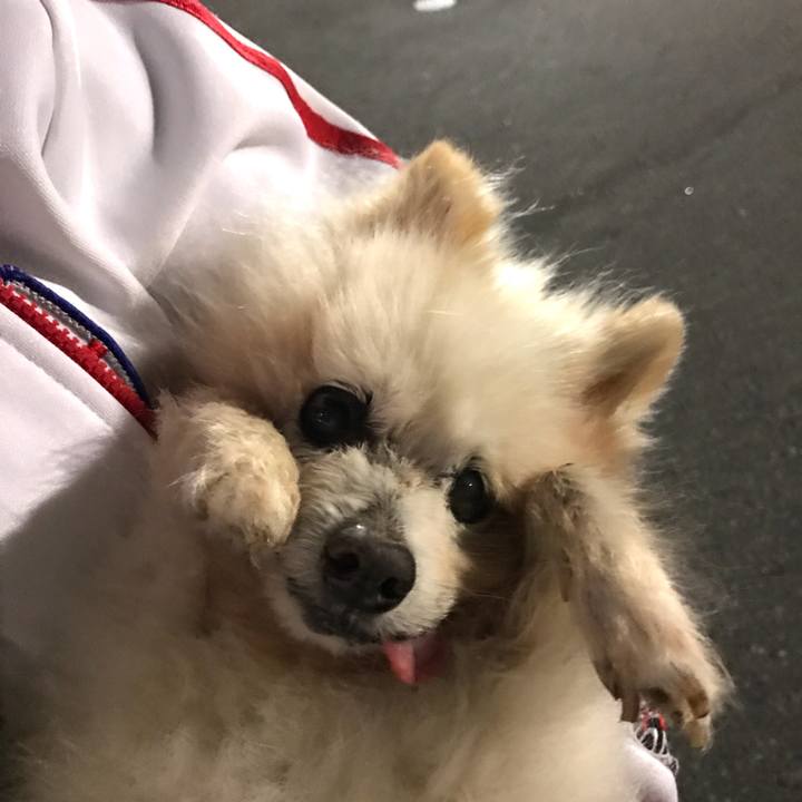 57ffd2c8 3469 40e5 b51b 758f7219ad4c 1540915774116