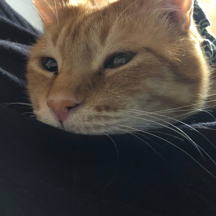 57ffe6e4 5116 4fd2 a2fd ab68d2b7def9 1579611384310