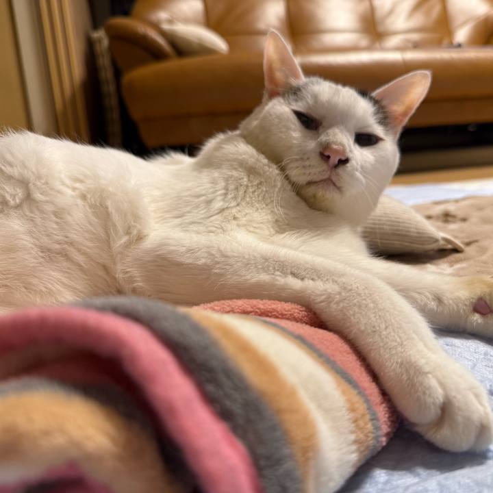 580009de a626 4672 8b88 facc01d6f751 1761356269540