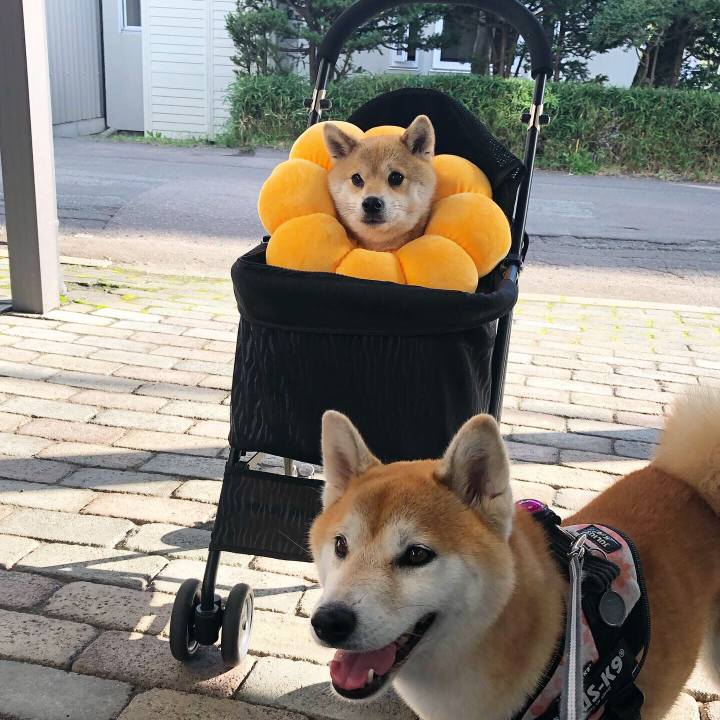 58001fad 9a00 4162 9905 249d06414f8e 1567988844311