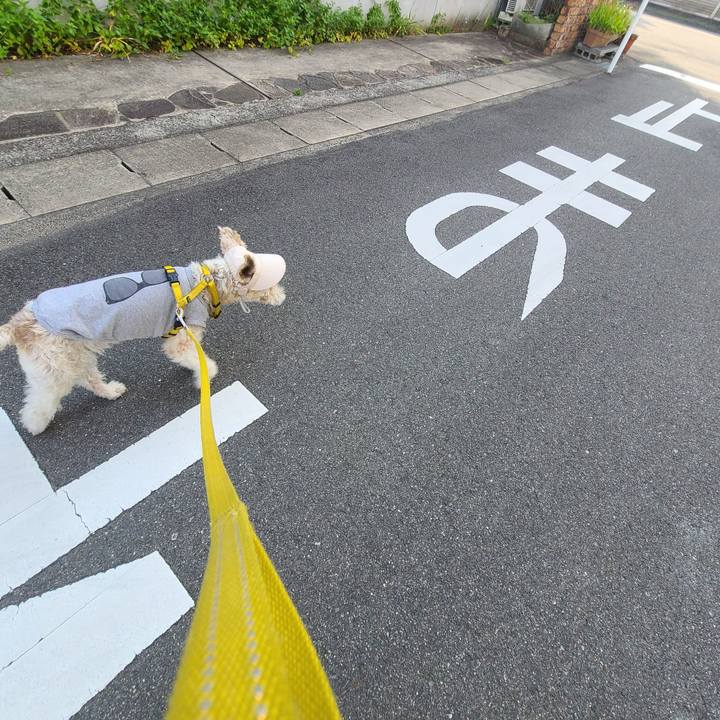 58006265 26a0 461a a467 093c95ace7d7 1684490345338