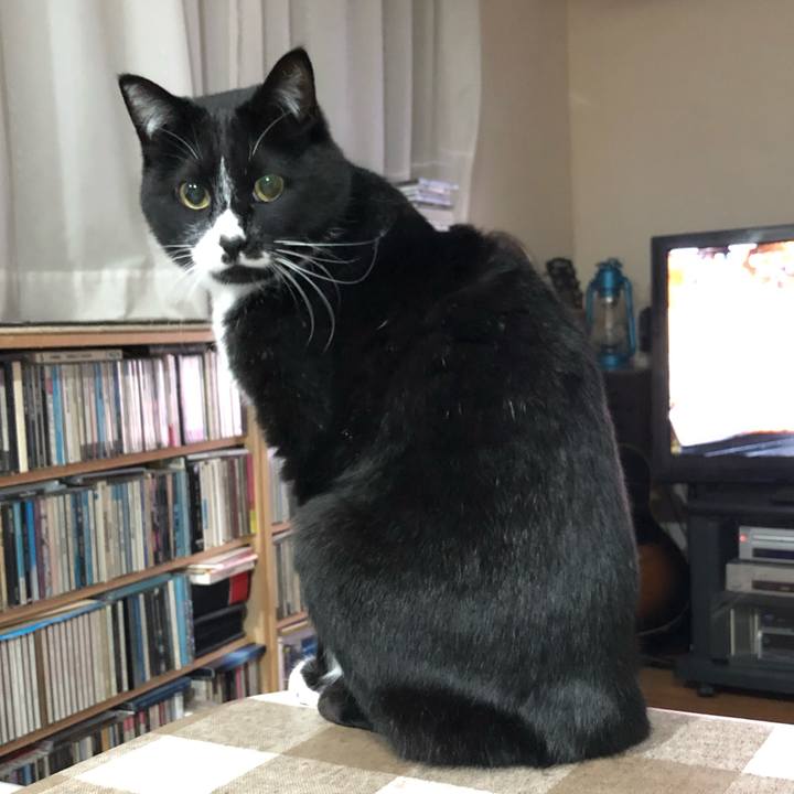 580071ca 0a92 47c5 abd6 35d19684f761 1618371640090