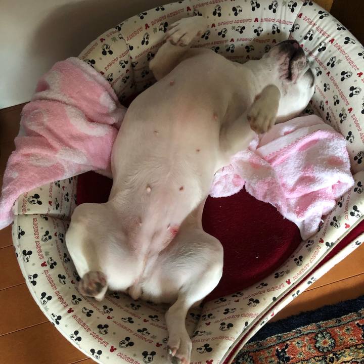 5800a116 b964 4cd8 812a bdb9fca232de 1593177068832