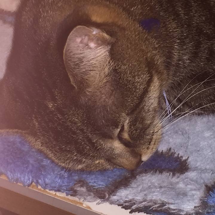 5800cc52 8ba8 4654 9185 51ef604bad27 1547222734156