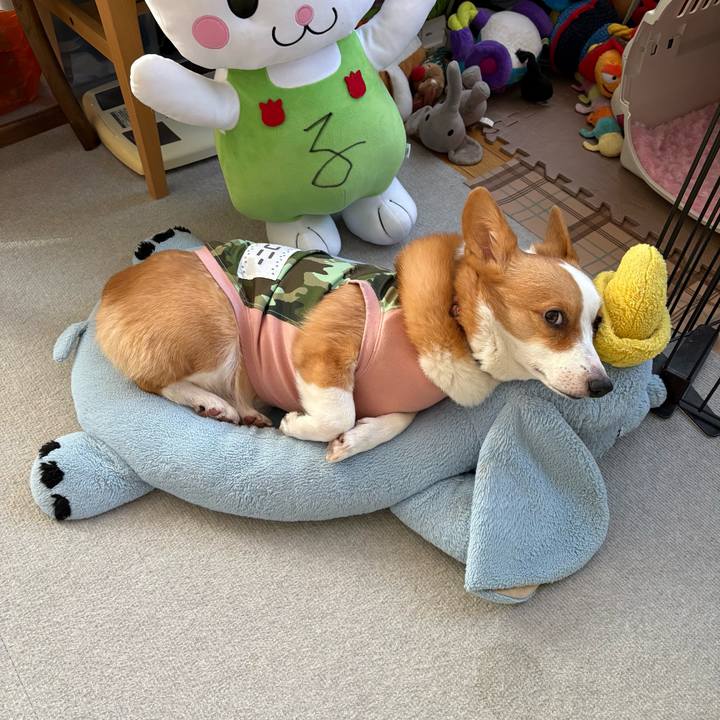 5800d8ef 34bf 4b91 8ac5 c524faf3b08b 1771197383803