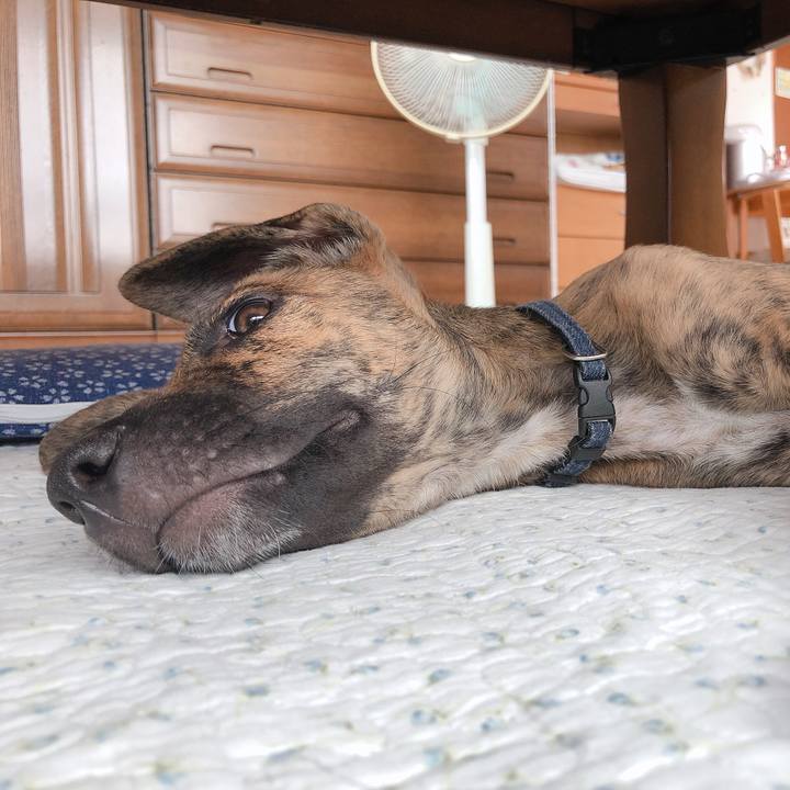 58010161 a082 4770 b014 2a4c9047cfd4 1570704045954