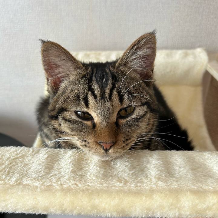 58012851 bed5 4be9 9654 41b0535d6029 1741477291257