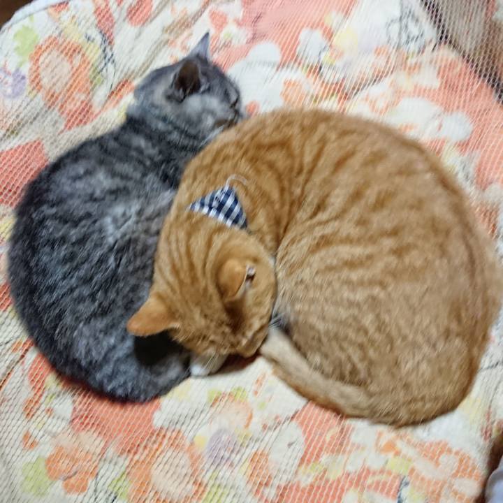 58014cb2 801e 4db5 99f6 369fbddf418c 1571659985836