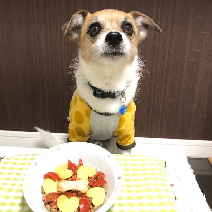 58019b0a d185 4fa8 aa34 9e89d3c90d09 1556614690278