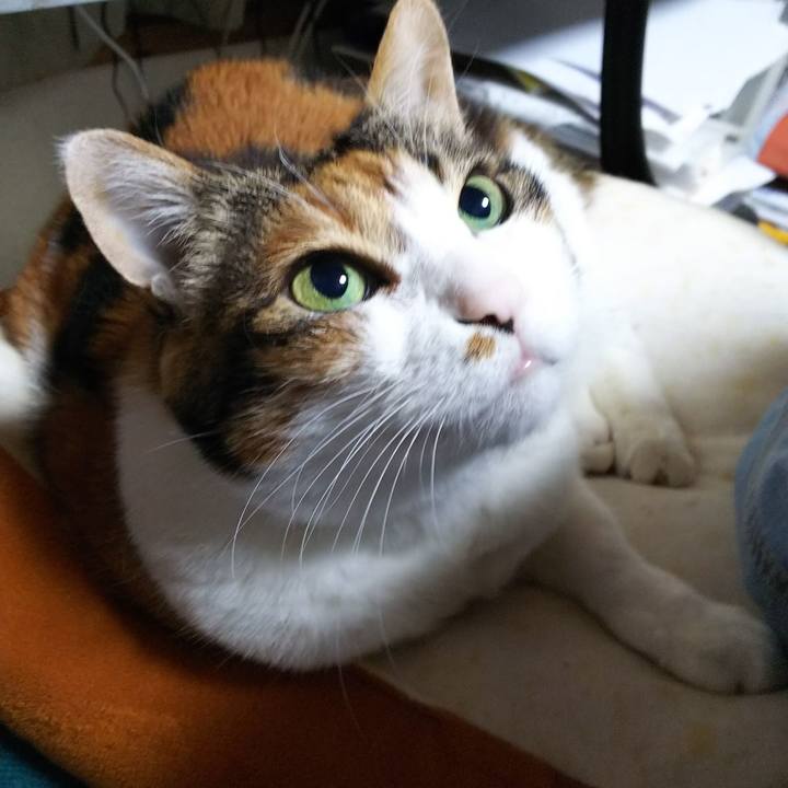 5801a8a5 6856 4d93 a83d 5a80a7ec8482 1551735904314