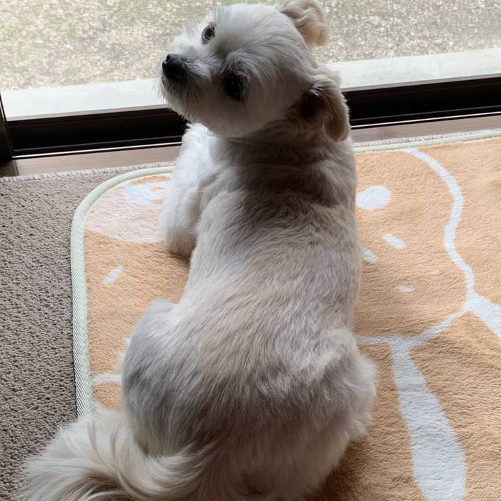 5801b4f5 7e82 4481 b406 a8a4eeaab204 1605842689066