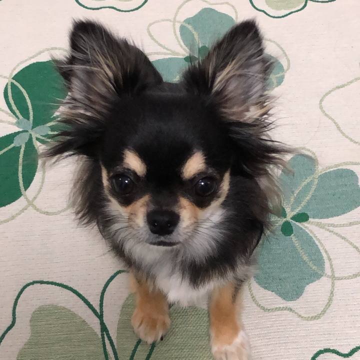 5801e769 97ee 4c68 ad13 1ee7096087db 1557872904992