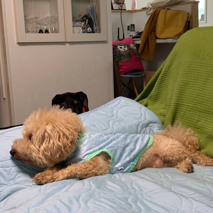 58026c28 f03c 42da 8078 6995355d4e60 1564007313428