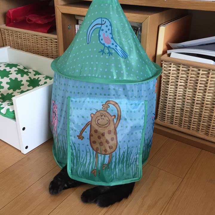 580293ab b147 4789 b288 4a71a9b447b8 1534382795662