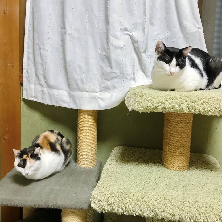 58029970 0756 4d03 b2ad a65256fd1291 1507784483052