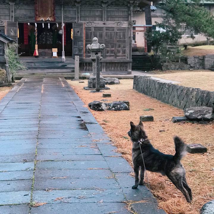 5802b98b 98dd 4827 8f7a 3914515110d2 1514768002552