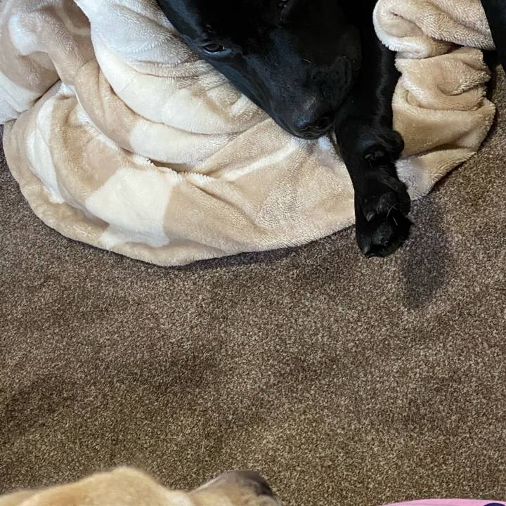 5802bb00 311a 4dfe 953a 89bd698af425 1616196924284