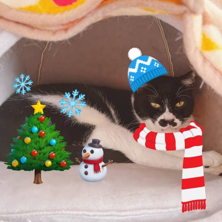 5802cf82 ed15 4b97 ba5c 83297aa0048d 1671870068025