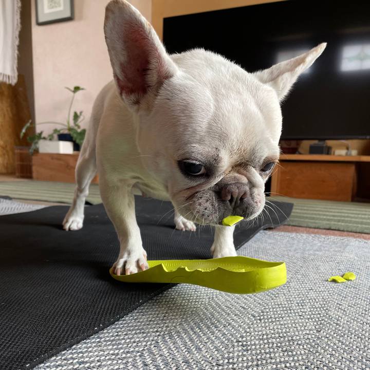 5802ecc2 f363 4e15 80e7 5407be7d1ebd 1722938141157