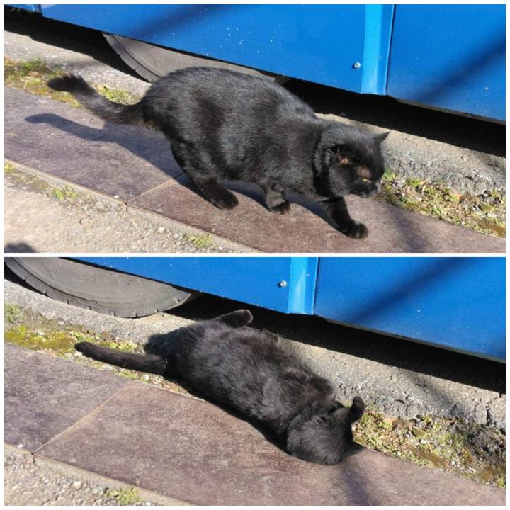 5802f196 801e 43b6 bcab da0be30252f6 1671186764522