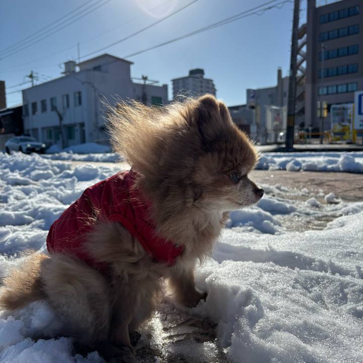 5802f5fe fbf0 4049 9fad 13ea04e1388f 1765000792355