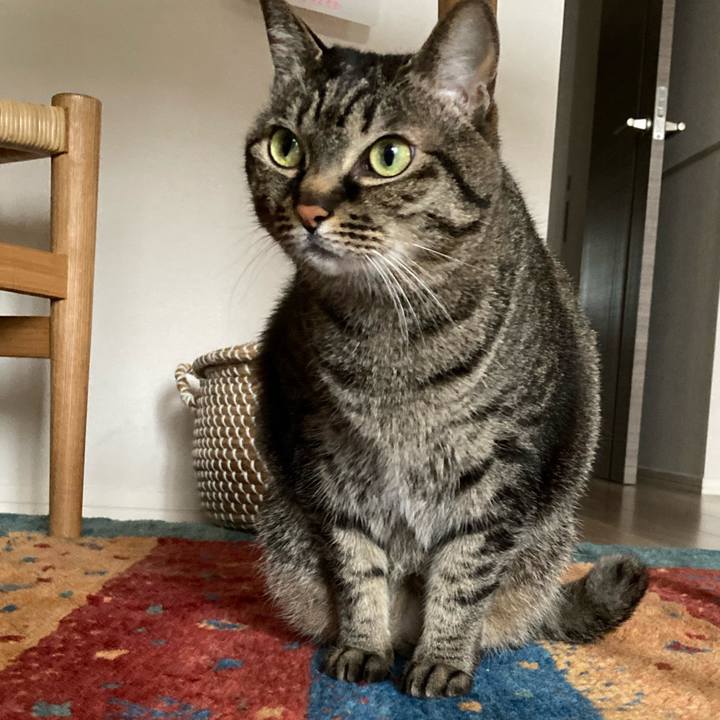 5802f78b 46cc 456b bbff d73025ea9594 1648708569893